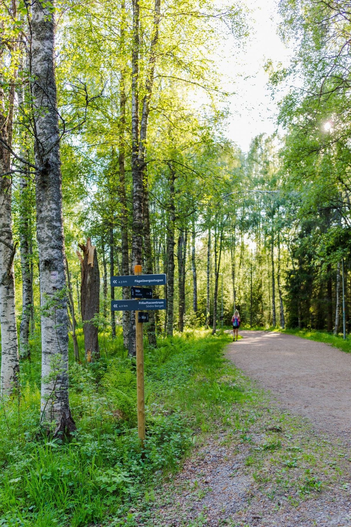 Fina motionsspår och elljusspår