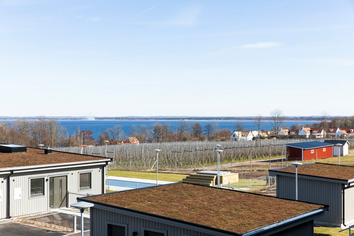  Ett stenkast från strandpromenaden